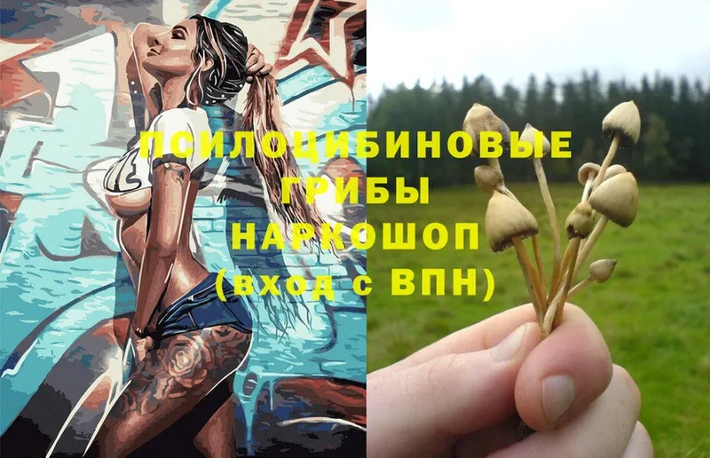 Псилоцибиновые грибы Magic Shrooms Новосибирск